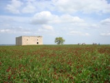 Clicca qui per vedere l'immagine in dettaglio